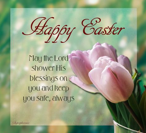 For A Safe And Blessed Easter. Free Happy Easter eCards, Greeting Cards | 123 Greetings Easter Wishes Messages, Happy Easter Wallpaper, Happy Easter Messages, Happy Easter Pictures, Happy Easter Quotes, Easter Prayers, Happy Easter Sunday, Easter Messages, Easter Greetings Messages