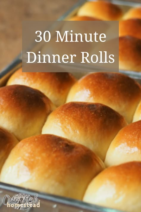 Quick and Easy Dinner Rolls - One Ash Homestead One Hour Dinner Rolls Simple, 1hour Dinner Rolls, Homemade Buns Easy Simple, Quick Dinner Rolls Using Mayonnaise, Betty Crocker Quick Sour Cream Dinner Rolls, 30 Mins Dinner Recipes, Fast And Easy Dinner Rolls, Fast Dinner Rolls Easy, No Rise Dinner Rolls