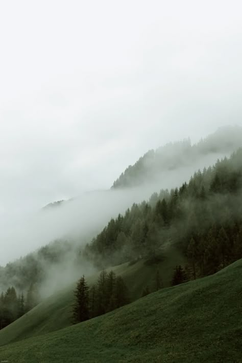 Mountain Aesthetic, Foggy Mountains, Image Bank, Misty Forest, Adobe Photoshop Lightroom, Natural Fragrances, Photoshop Lightroom, Green Aesthetic, Aesthetic Photo