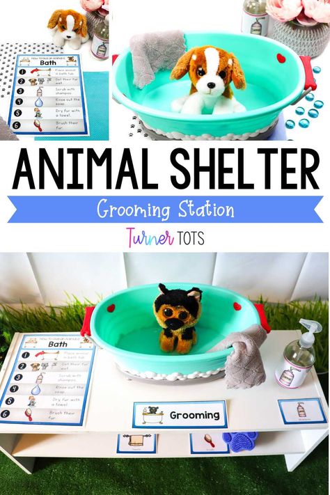 Animal Pretend Play Ideas, September Dramatic Play Ideas, Diy Pet Vet Dramatic Play, Preschool Play Center Ideas, Pet Dramatic Play Preschool, 1st Grade Dramatic Play, Pretend And Learn Center Ideas, Dramatic Play Center Themes, Classroom Pretend Play Area