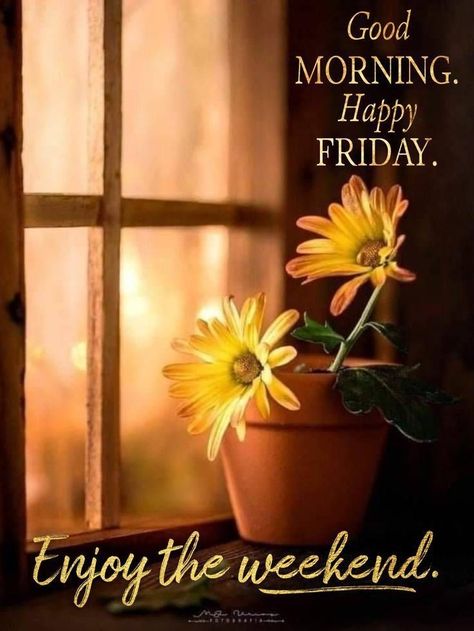 Fall Friday Blessings, Friday Wishes Happy Weekend, Good Morning Blessed Friday, Happy Friday Morning Quotes, Happy Friday Blessings, Autumn Ambience, Good Friday Morning, Happy Friday Morning, Friday Greetings