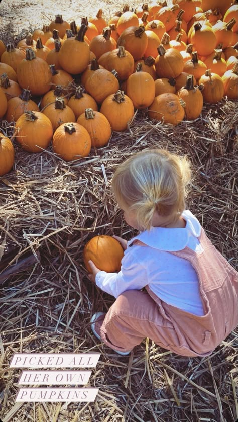 Pumpkin Patch Pics, Autumn Photo Shoot, Fall Baby Pictures, Pumpkin Patch Photoshoot, Pumpkin Patch Pictures, Fall Aesthetics, Fam Pics, Breakfast Coffee, Baby In Pumpkin