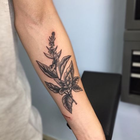 BASIL tattoo - Freehand - Black work by a local medellin artist call corro. Thai Basil Tattoo, Basil Plant Tattoo, Basil Flower Tattoo, Tulsi Tattoo, Basil Leaf Tattoo, Basil Tattoo, Cooking Tattoo, Forearm Cover Up Tattoos, Chef Tattoo