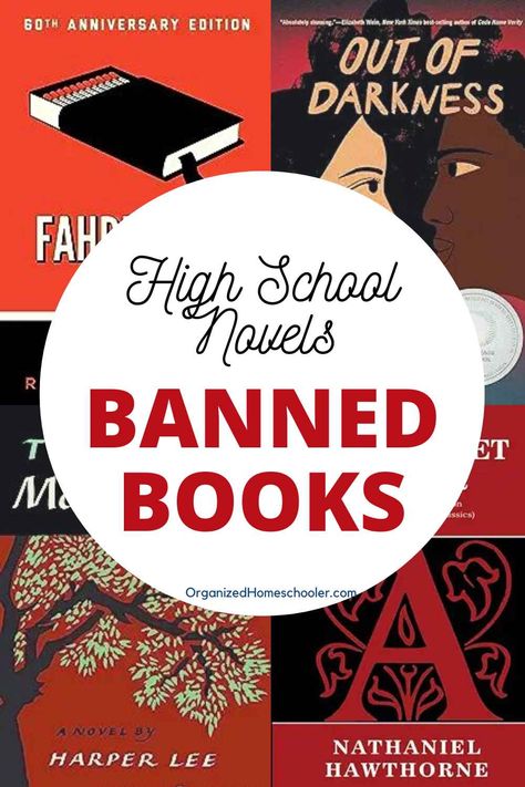 high school novels banned books written in the middle of 4 book covers Banned Books List, High School Reading List, American Literature Books, Classics To Read, High School Literature, High School Reading, Christian High School, High School Books, Library Quotes