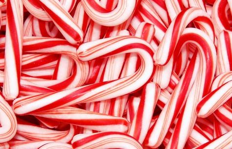 gluten free candy canes list Peppermint Wallpaper, Christmas Astetic, Red Aesthetic Pictures, Lip Balm Flavors, Candy Cane Recipe, Candy Brownies, Handmade Craft Ideas, Bath Teas, Waiting For Christmas