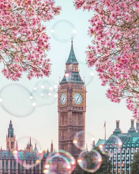 London big ben in spring! Spring in London. Photo by @Shadz_ig (Instagram.com/shadz_ig) Photo Blend, London Wallpaper, Big Ben Clock, Big Ben London, London Photographer, Pink Photo, City Of London, London Town, London Photography