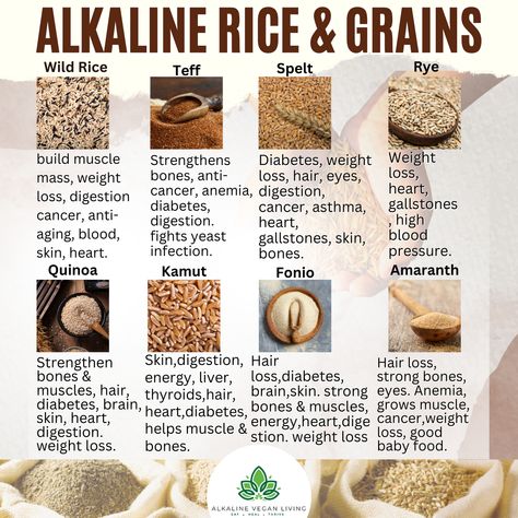 CONTINUE READING HERE and GET YOUR FREE copy of Dr. Sebi's Alkaline Diet: Transitioning from the Standard American Diet here👇👇👇 http://alkalineveganliving.com/ (LINK IN BIO) FOLLOW US FOR MORE #naturalhealing #alkalinediet #alkalinevegan #drsebi #veganism #vegansofig #veganinfo #vegano #veganfit #veganpower #veganshare #vegancommunity #healingplants #vegancommunity #alkalinelifestyle #alkalineherbs #vegannutrition #goingvegan #plantbasedcoach #healthierlife #healthieroptions #organicfoods Dr Sebi Diet Plan, Dr Sebi Meal Prep, High Alkaline Diet Recipes, Alkaline Vegan Diet, High Alkaline Foods, Alkaline Grocery List, High Alkaline Recipes, Dr Sebi Food List, Alkaline Dinner