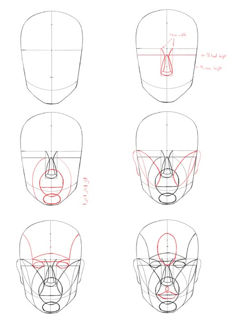 Reilly Method (Front View) by EntropyDecay on DeviantArt The Reilly Method, Reily Method Head, Asaro Head Method, Reilly Method Step By Step, Front View Reference, Reilly Head, Reilly Rhythms, Reilly Method Head, Head Body Proportions