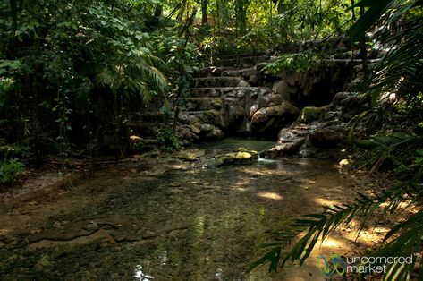 Palenque Mayan Ruins and Forest - Chiapas, Mexico Mexico Forest, Mayan Pyramids, Ancient Greek Architecture, Mayan Ruins, Tropical Forest, Angkor Wat, Ancient Architecture, Visual Development, Environment Concept Art