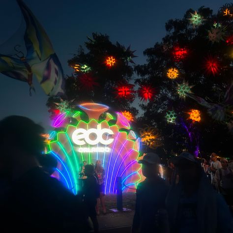 “Make it happen” was the my realization with @edc_orlando 🎡🫧❤️ First time going and did it solo! This experience taught me to learn to experience big things by yourself! Nothing like this experience⚡️ #raver #bubbles #edc Edc Orlando, Big Things, 2025 Vision, Make It Happen, Orlando, First Time, To Learn, Bubbles, Vision Board