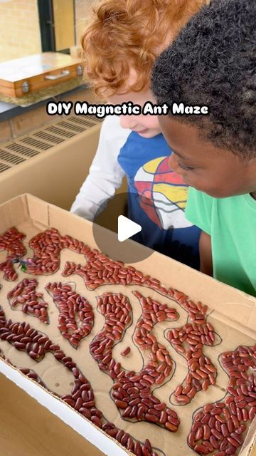 Elizabeth ✨ Preschool for You on Instagram: "Magnetic Ant Maze 🐜  I made this with my class a few years ago but it was so much fun I find myself pulling it out of the closet every spring. To begin, I drew ant tunnels and then the kids glued on the beans. The ant is from our toy bug collection and I simply hot glued it to a small magnet. The ant “moves” by connecting to another magnet underneath the box lid✨  • • • • •  #antmaze #ants #stemforkids #learningthroughplay #bugs #insectstudy #playislearning #preschool #prek #preschoolclassroom #diygames #cardboardcrafts #recycleandplay #sustainableplay #stemeducation #stemactivities #stemactivitiesforkids #scienceforkids #earlychildhoodeducation #reggioinspired #reggioinspiredteachers #playbasedlearning #learningthroughnature #natureplay #early Ants For Preschoolers, Preschool Ant Craft, Ant Activity For Kids, Ant Activity For Preschool, Ant Tunnels, Insects Activities Preschool, Insects Activities For Kids, Bug Theme Preschool, Bug Activities Preschool