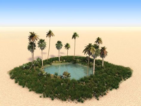 What Is an Oasis in the Desert? The Sand, Palm Trees, Oasis, Trees, Google Search, Water