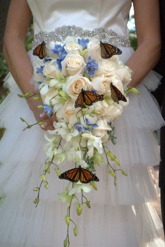 Live Butterflies Wedding, Wedding Bouquets With Butterflies, Butterfly At Wedding, Butterfly Wedding Theme Centerpieces, White Butterfly Wedding Dress, Wedding With Butterflies, Creative Wedding Themes, Butterfly Decor Wedding, Butterfly House Wedding