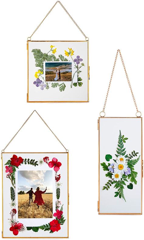 Double Glass Frame, Flower Frames, Flower Press, Hanging Picture Frames, Cling Wrap, Double Glass, Pressed Flower Art, Holding Flowers, Flower Artwork