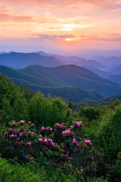 Spring Views Nature, Kentucky Landscape Photography, Pretty Mountain Pictures, Mountain Nature Aesthetic, Green Mountain Aesthetic Wallpaper, Appalachian Wallpaper, Mountain Asthetic Picture, Nature Real Photos, Tennessee Mountains Aesthetic