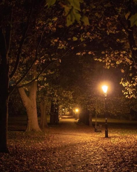 autumn stories 🍂 Dark Morning, Fall Tumblr, Fall Szn, Pretty Scenery, Dark Fall, Fall Faves, Night Scenery, Dark Autumn, Autumn Night