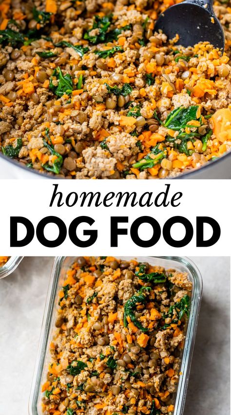 Dog Food Recipes Crockpot, Dog Food Homemade, Foods Dogs Can Eat, Dog Food Recipe, Easy Dog Treat Recipes, Make Dog Food, Diy Dog Food, Dog Food Treats, Easy Dog Treats