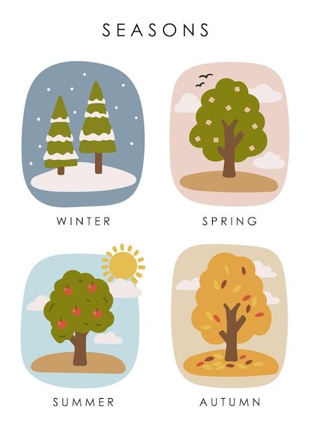 Season Posters Preschool, Seasons In English, Seasons For Kids, Kindergarten Illustration, Seasons Illustration, Seasons Kindergarten, Kids Learning Charts, Seasons Poster, Education Illustration