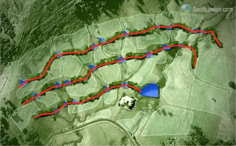 Swales Permaculture, Food Forest Layout, Permaculture Design Layout, Food Forest Design, Backyard Food, Off Grid Homestead, Food Forest Garden, Map Creator, Farm Layout