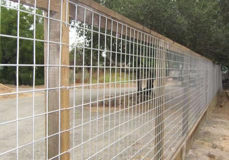 Hog Panel Fencing, Cattle Panel Fence, Cottage Fence, Wire Fence Panels, Hog Wire Fence, Diy Dog Fence, Panel Fence, Welded Wire Fence, Fences Ideas