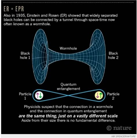 Einstein Rosen Bridge, Physics Theories, Astronomy Facts, Quantum Entanglement, Astronomy Science, Theoretical Physics, Cool Science Facts, Space Facts, Theory Of Relativity