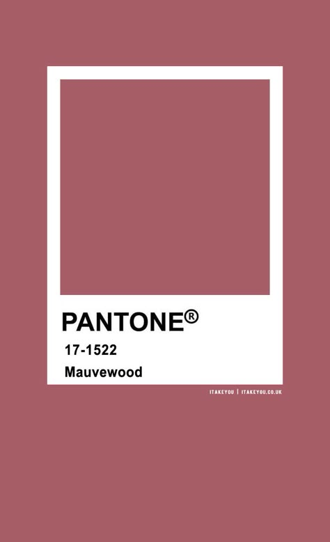 pantone mauvewood, pantone color, pantone color names, pantone , color names, mauvewood , mauve color Pantone Mauve Colour Palettes, Mouve Colour Pallet, Pantone Pink Shades, Mauve Pantone, Wedding Colour Combinations, Dark Academia Color Palette, Pink Pantone, Pantone Color Palette, Wedding Colour Theme