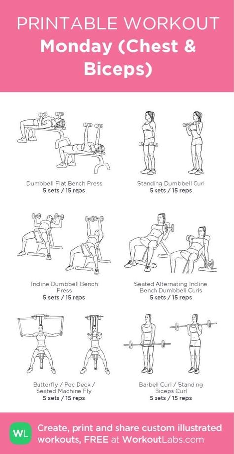 Gym Workout Chest For Women, Workout Sets And Reps Gym, Chest And Biceps Workout Women, Biceps Chest Workout, Womens Planet Fitness Workout, Chest And Bicep Workout Gym, Bicep And Chest Workout Women, Gym Workouts Women Chest, Back Workout Women Gym Weights