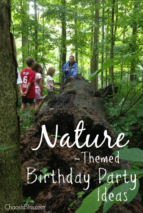 Have a child that loves the outdoors? Here are some fun party planning tips for a nature-themed birthday party. 2nd Birthday Nature Theme, Nature Birthday Activities, Outdoor Woods Birthday Party, Nature Birthday Party Games, Bushcraft Birthday Party, Nature Explorer Birthday Party, Camp Themed Birthday Party Activities, Outdoor Adventure Birthday Party Ideas, Camping Theme Birthday Party Activities