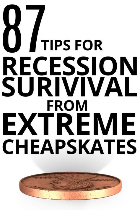 Recession Proof Stocks, Recession Meals, How To Save Money On A Low Income, Extreme Cheapskates, Frugal Food, Living Frugal, Saving Money Frugal Living, Moonshine Recipes, Frugal Mom