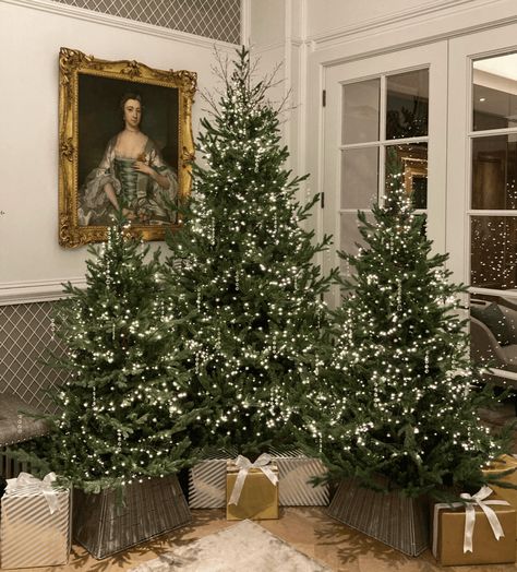 Christmas Tree Decorating Ideas   Trends for 2024 Blue Spruce Tree, Christmas Tree Decorating Ideas, Christmas Tree Forest, Christmas Tree Inspo, Tree Decorating Ideas, Christmas Tree Decorating, Spruce Tree, Christmas Interiors, Cool Christmas Trees