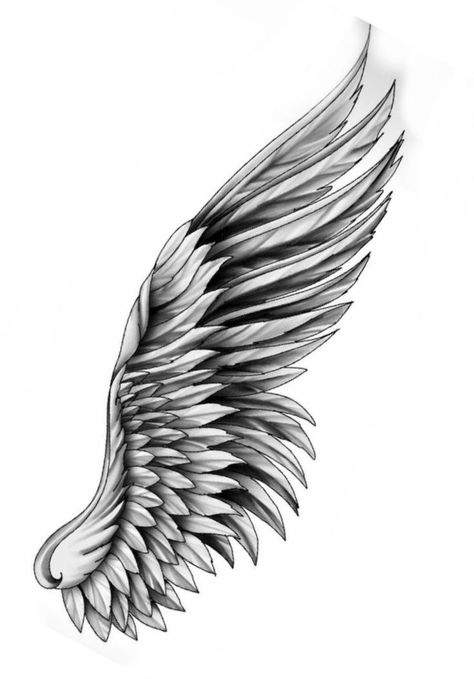 Egal Wings Tattoo, Wings With Eyes Tattoo, Eagle Wings Tattoo Design, Angel Wing Arm Tattoo, Eagle Wings Tattoo, Angel Wings Tattoo Stencil, Chest Tattoo Writing, Wing Tattoo Arm, Wings Tattoo Design