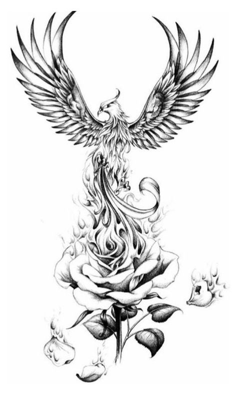 Phoenix Tattoo Sleeve, Tato Phoenix, Phoenix Tattoo Feminine, Small Phoenix Tattoos, Dragon Tattoo Sketch, Phoenix Bird Tattoos, Phoenix Tattoo Design, Inspiration Tattoos, Geniale Tattoos