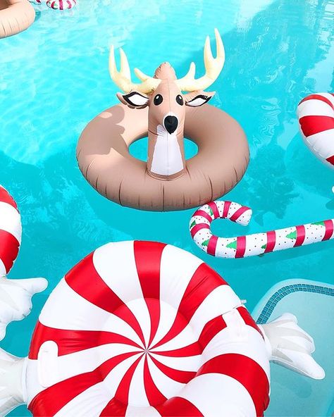 Christmas pool floats Christmas In July Decorations, California Christmas, Tropical Wreath, Flamingo Ornament, Aussie Christmas, Colored Bubbles, July Holidays, Summer Christmas, Tropical Christmas