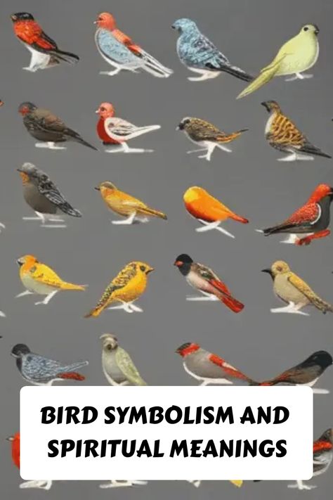 Historically, birds have been revered as symbols of spiritual growth and higher understanding. From the Phoenix to doves, owls, and eagles, these birds are all imbued with unique symbolism that reflects their natural characteristics or traits. In this blog post, we will explore the deeper meanings behind some of the most commonly known avian symbols to discover how these creatures hold special significance in our spiritual lives. Birds Meaning Symbols Spirit Guides, Spiritual Bird Meanings, Different Birds And Their Meanings, Birds And Meanings, Bird Meanings Symbols, Birds And Their Meanings, Birds Spiritual Meaning, Bird Symbolism Meaning, Bird Meanings