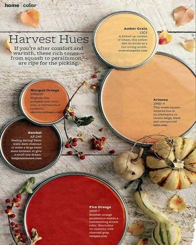 Paprika Paint Color, Colour Seeds, Orange Paint Colors, Rustic Paint, Persimmon Color, Yellow Paint Colors, Peach Walls, Decor Color Schemes, House Color Palettes