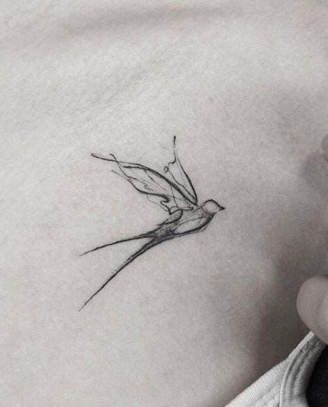 Bird Line Drawing Tattoo, Swallow Line Tattoo, Scissortail Flycatcher Tattoo, Swallow Tattoo Ideas, Swallows Tattoo, Swallow Art, Tattoo Swallow, Swallow Tattoos, Sparrow Drawing