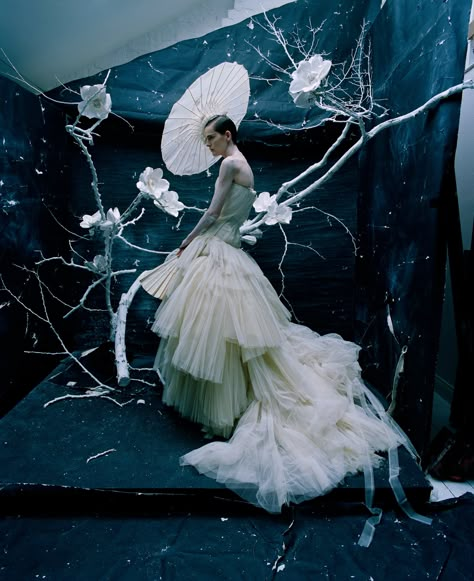 Tim Walker: ‘There’s an extremity to my interest in beauty’ | Global | The Guardian Fashion Photography Editorial Vogue, Tim Walker Photography, Editorial Vogue, Stella Tennant, Mode Editorials, Robert Mapplethorpe, High Fashion Photography, Tim Walker, Haute Couture Dresses