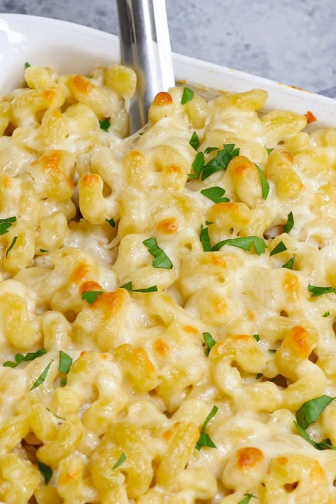 Cavatappi Pasta Recipes Healthy, Mac And Cheese Recipe Cavatappi, Stuffed Ziti, Best Pasta Bake Recipe, Corkscrew Pasta, Cavatappi Pasta, Pasta With Bacon, Creamy Pasta Bake, Bread Crumbs Recipe