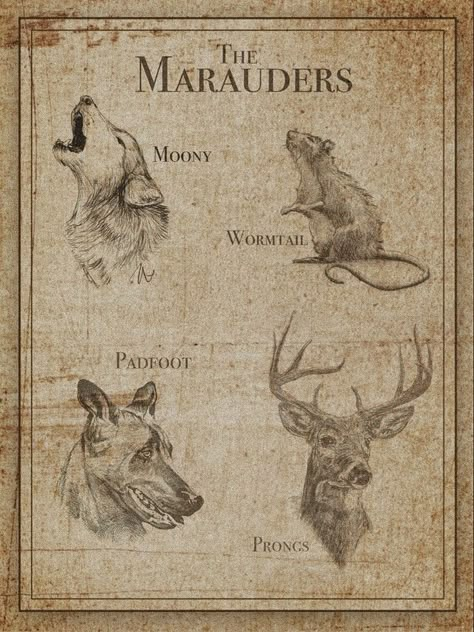 Marauders Wall Prints, Harry Potter Poster Vintage, Marauders Poster, Harry Potter Creatures, Poster Harry Potter, Harry Potter Wall, Harry Potter Poster, Buku Harry Potter, Theme Harry Potter