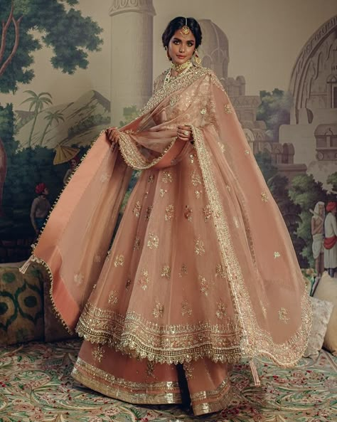 Indian Bridal Gown, Desi Dress, Desi Wedding Dresses, Pakistani Wedding Outfits, Net Dress, Pakistani Fancy Dresses, Pakistani Fashion Party Wear, Beautiful Pakistani Dresses, Indian Dresses Traditional