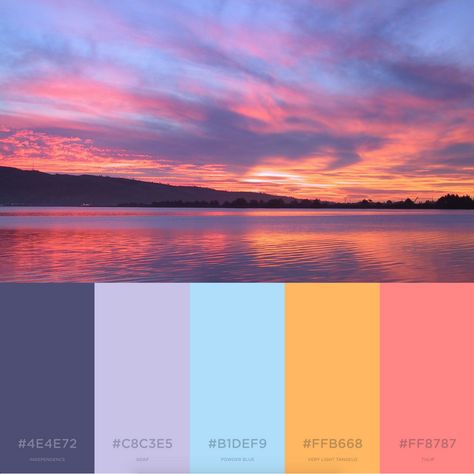 Here's some summer inspiration.  This color sheme will not leave anyone indifferent Sunset Colors Outfit, Summer Sunset Color Palette, Best Color Combination, August Flower, Logo Tips, Logo Color Schemes, Mental Health Campaigns, Branding Color Palettes, Sunset Color Palette