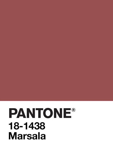 Color of the Year 2015, PANTONE Pantone 2015, Marsala Color, Tv Fal, Best Wedding Colors, Pantone Palette, Pantone Colour Palettes, Burgundy Style, Colour Board, Color Stories