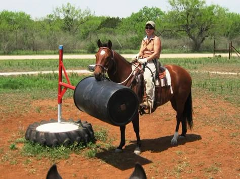 This is one of the smartest things I've seen someone set up. A barrel that can be pushed around by the horse. Obstacle Course For Horses, Horse Obstacle Course Ideas, Horse Obstacle Course, Obstacle Course Ideas, Horse Obstacles, Paddock Trail, Horse Training Exercises, Trail Horse, Horse Arena