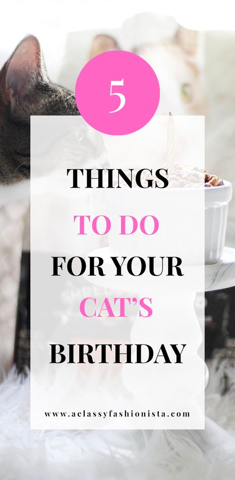 FIVE THINGS TO DO FOR YOUR CAT'S BIRTHDAY + CAT BIRTHDAY CUPCAKE | A Classy Fashionista | Cat Cupcake | Cat Cake | Cat Birthday | Pet Birthday | Cat Lover | #FortunaForAll #cbias | #ad How To Celebrate Your Cats Birthday, Birthday Cakes For Cats To Eat, Cat Birthday Cake For Cats Recipe, Cat Birthday Treats, Birthday Treat For Cat, Diy Cat Birthday, Homemade Cat Cake, Birthday For Cat Pets, Cat Safe Cake