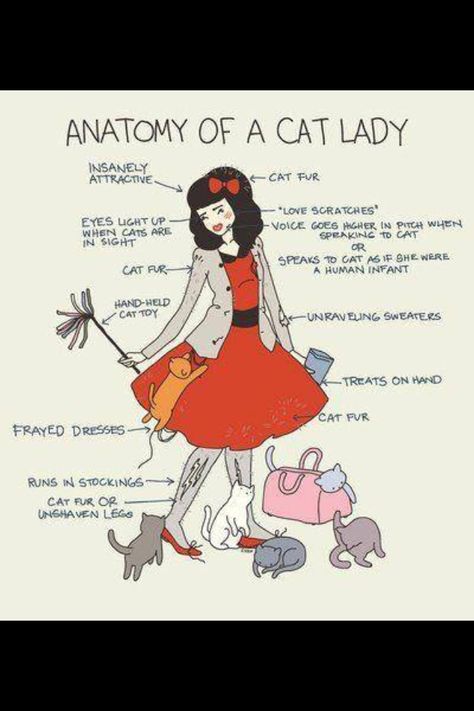 .. Anatomy Of A Cat, Cat Vs Human, She And Her Cat, Cat Human, Lady Cat, Cat Humor, Cat Items, Cat People, Cat Facts