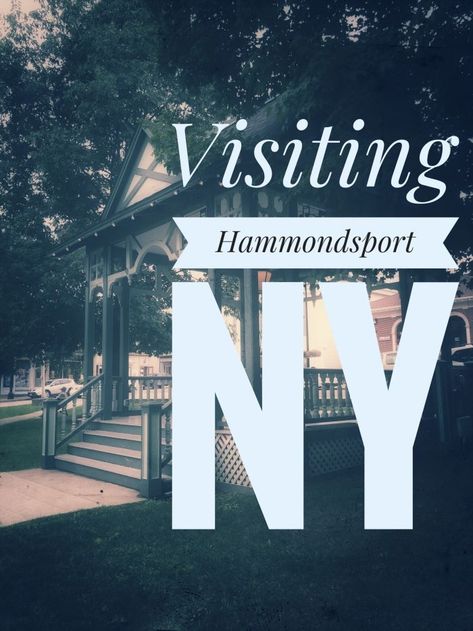 The Bashful Adventurer checks out Hammondsport, NY, a part of the Finger Lakes region. Photo credit: L. Tripoli. Hammondsport Ny, Octagon House, Finger Lakes Ny, Airplane Landing, Keuka Lake, Lake Hotel, The Finger Lakes, Lake Boat, Wine Trail