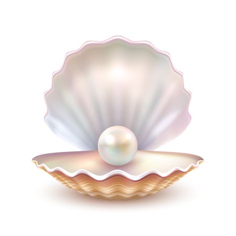 Download the Pearl Shell Realistic Close Up Image 471171 royalty-free Vector from Vecteezy for your project and explore over a million other vectors, icons and clipart graphics! Leaflet Template, Shell Drawing, Pearl Logo, Sale Flyer, Sale Banner, Pearl Shell, Abstract Watercolor, 그림 그리기, Watercolor Illustration