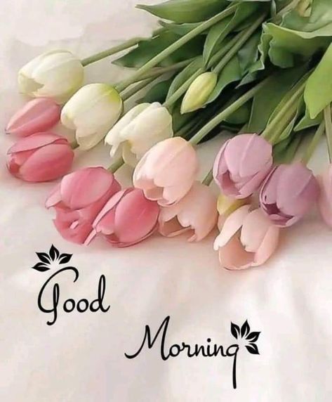 Gud Morning Images, Good Morning Posters, Good Morning Massage, Gud Morning, Good Morning Greeting Cards, Cute Good Morning Images, Good Morning Inspiration, Good Morning Nature, Good Morning Flowers Quotes