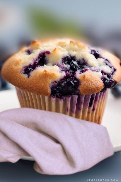 The Best Vegan Blueberry Muffins - Vegan Focus Vegan Blueberry Muffins Healthy, Vegan Blueberry Recipes, Vegan Costco, Buckwheat Muffins, Vegan Blueberry Muffins, Healthy Blueberry Muffins, Banana Blueberry Muffins, Vegan French, Muffins Vegan