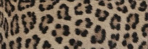 Animal Print Y2k, Twt Layout, Print Twitter, Cute Headers For Twitter, Twitter Header Pictures, Twitter Header Photos, Cute Headers, Twitter Banner, Cheetah Animal